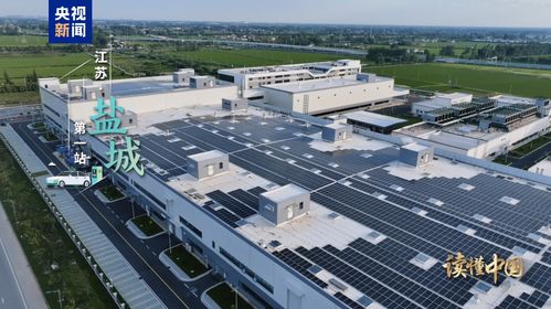 讀懂中國 歐洲青年體驗(yàn)中國式現(xiàn)代化丨前進(jìn) 新能源汽車 鹽城推廣服務(wù)